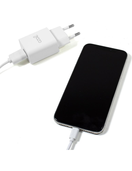 Caricabatterie per Iphone 1.5 A Smart Charge Cool