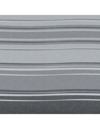Toldo Caravanstore 410 Metros XL Royal Grey Flame