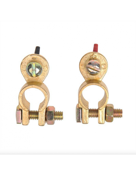 Bornes positives / négatives pour connexion par laveuse Pro Plus