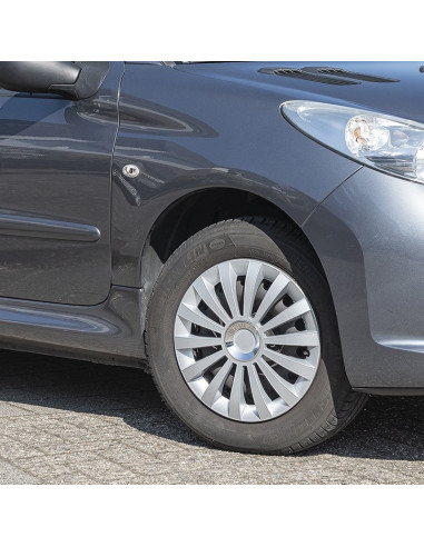 Nabenkappenbaugruppe für 14-Zoll-Meridian-Modellrad x4