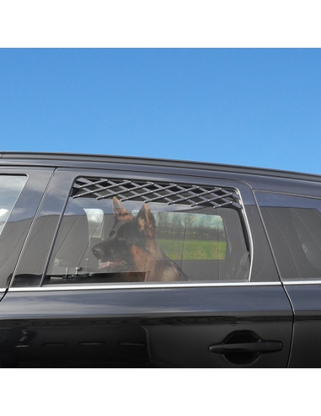 Ventilazione permanente del finestrino dell'auto