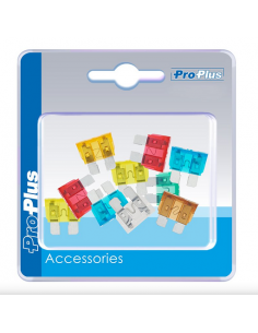 10 fusibles à lame standard assortis