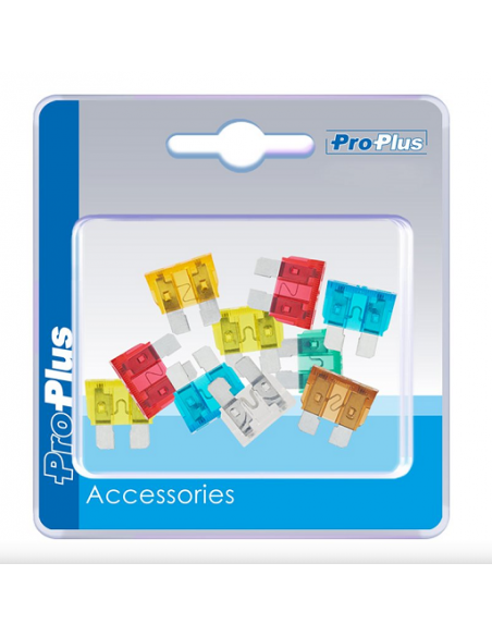 10 Assorted Standard Blade Fuses