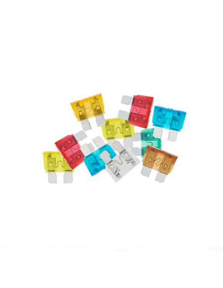 10 Assorted Standard Blade Fuses