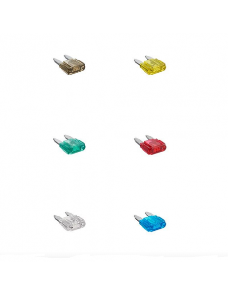 Assortierte Mini-Sicherung, 6 Stück