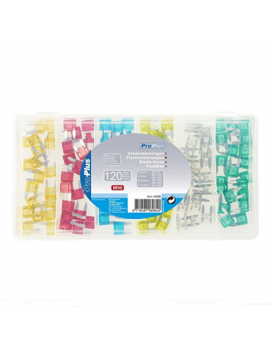 Mini assortimento Fusible 120 pezzi in scatola di plastica