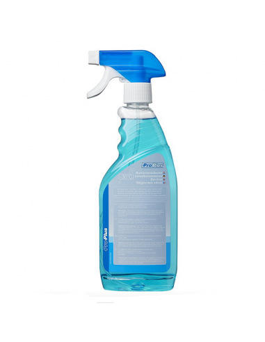 Anticongelante 500 ml com spray para vidros e fechaduras Pro Plus