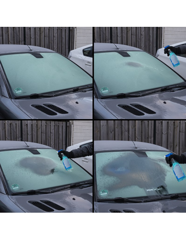 Antifreeze 500 ml with spray for glass and locks Pro Plus