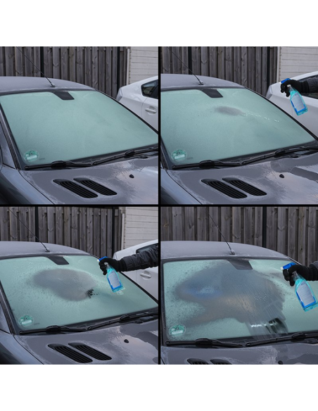 Frostschutz 500 ml mit Spray für Glas und Schlösser Pro Plus