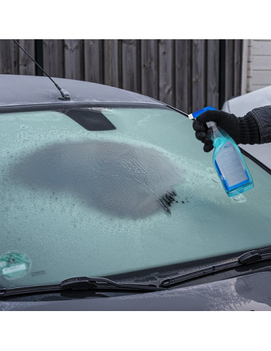 Antifreeze 500 ml with spray for glass and locks Pro Plus