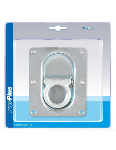 Double fastening eye