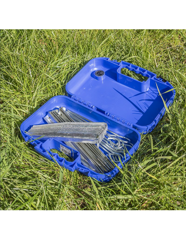 Storage box for pegs