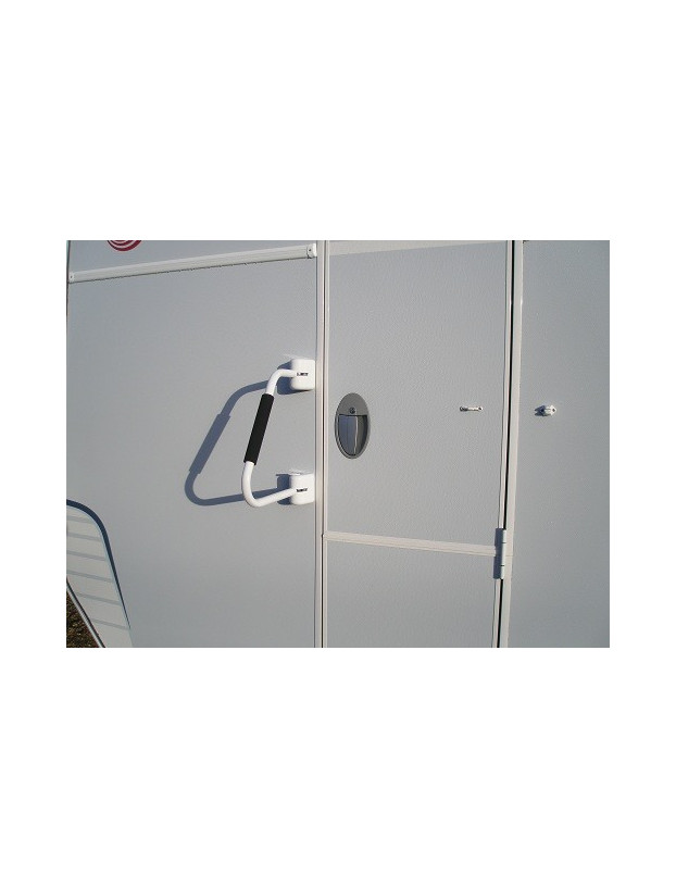 Asa seguridad Thule Security Hand Rail