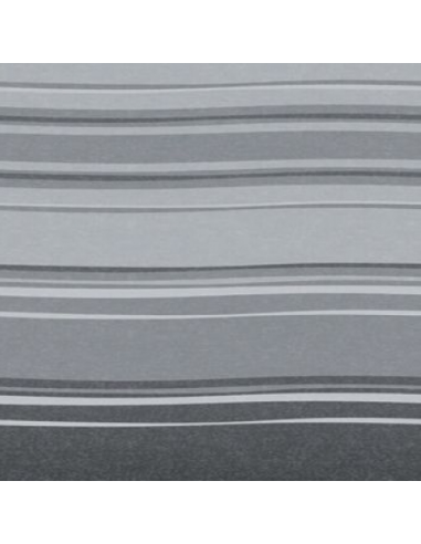 Toldo Caravanstore 410 Metros XL Royal Grey Flame