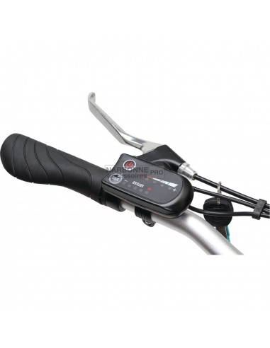 Schwarzes faltbares elektrisches E-Scape-Motorrad