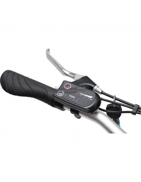 Bicicleta de asistencia eléctrica plegable negra E-scape