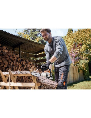 Motoserie Stihl MSA 140 C-BQ. Con caricabatterie e batteria