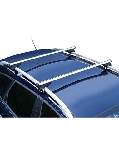 Universal roof rack for vehicle, 120cm - 90kg
