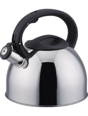 Wasserkocher 2,5 Liter Edelstahl