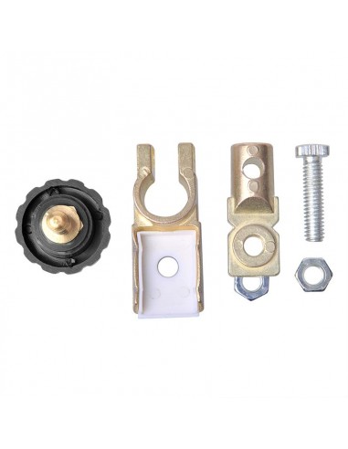 Negative battery terminal with switch