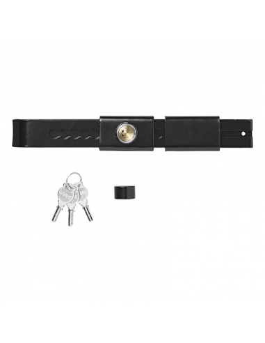 Adjustable security lock for trailer and container