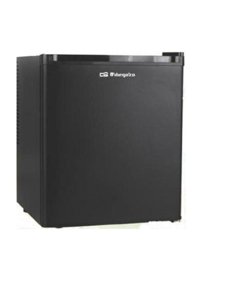 Orbegozo thermoelectric refrigerator 40 liters at 220 V