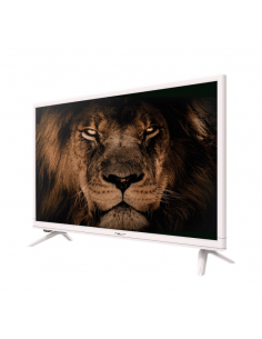 Televisor Nevir 12v/24v/220v HD LED 24"  blanco