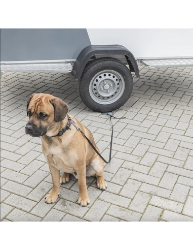 Piega multifunzionale per telaio del veicolo