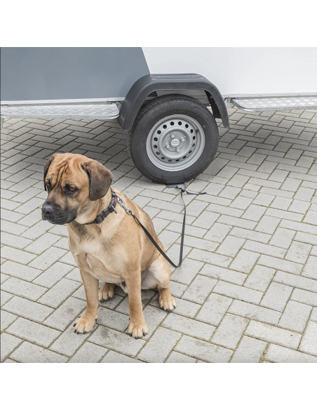 Piega multifunzionale per telaio del veicolo