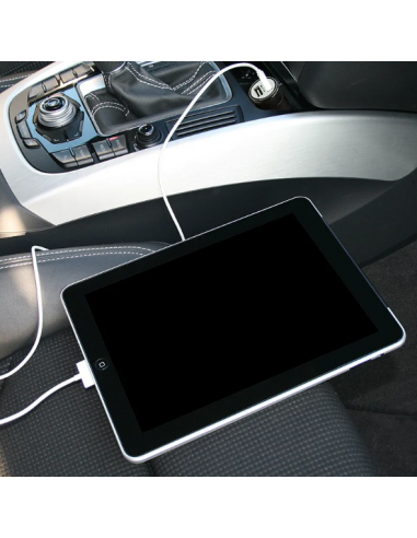 Caricabatterie con due colpi a 12V/24V