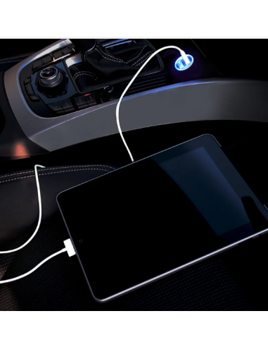 Caricabatterie con due colpi a 12V/24V