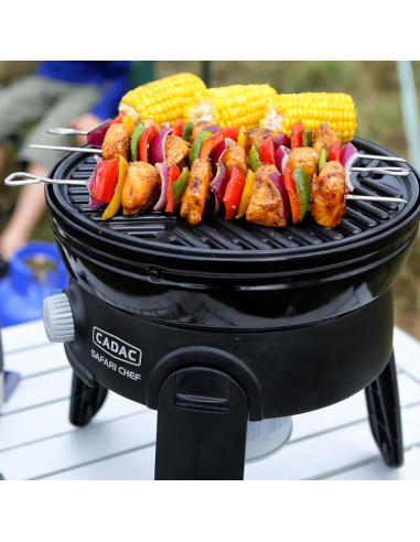 Brochettes de pinchos pour Barbacoa. Cadac