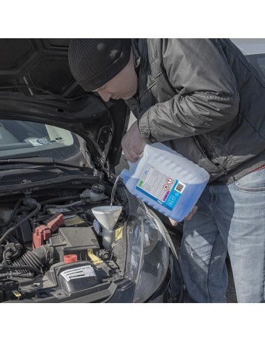 Limpiaparabrisas anticongelante 15°C  5 litros. ProPlus