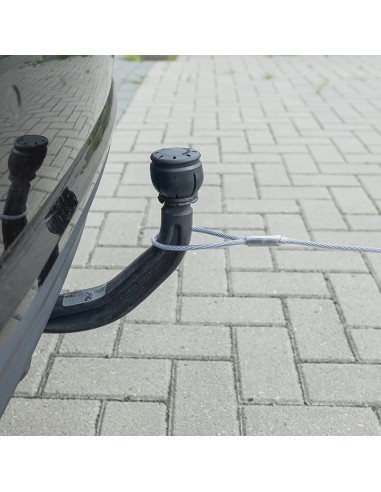 Cavo di ritenzione di 40 cm con loop a sfera ProPlus