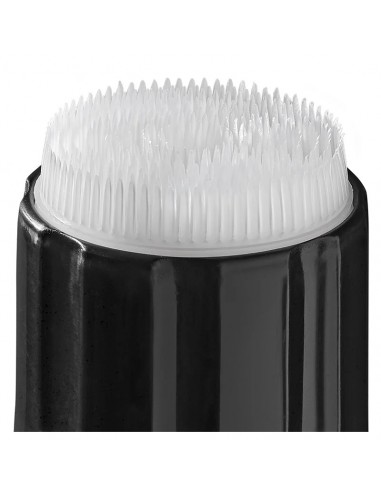 Gecko Limpiador de espuma 650ml ProPlus