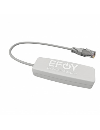 Adaptador Bluetooth Efoy.