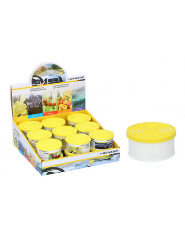 Canned air freshener for vehicles with various scents