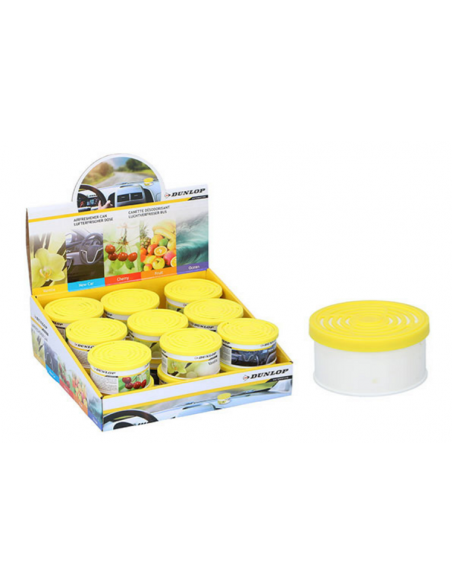 Canned air freshener for vehicles with various scents