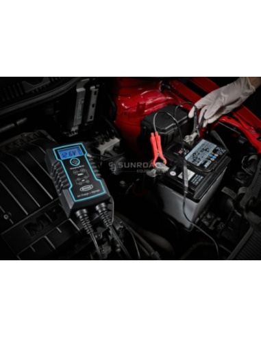 Caricabatteria intelligente con display LCD Ring