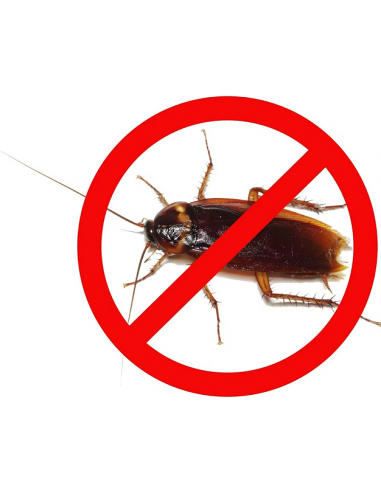 Gel Anti siringa gusci 20g