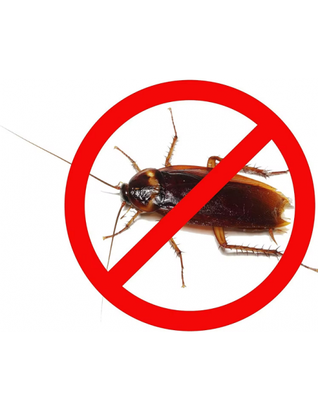 Gel Anti siringa gusci 20g