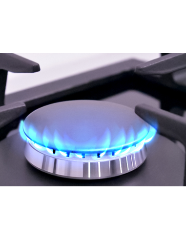 Cuisinière à gaz 50 cm en acier inoxydable