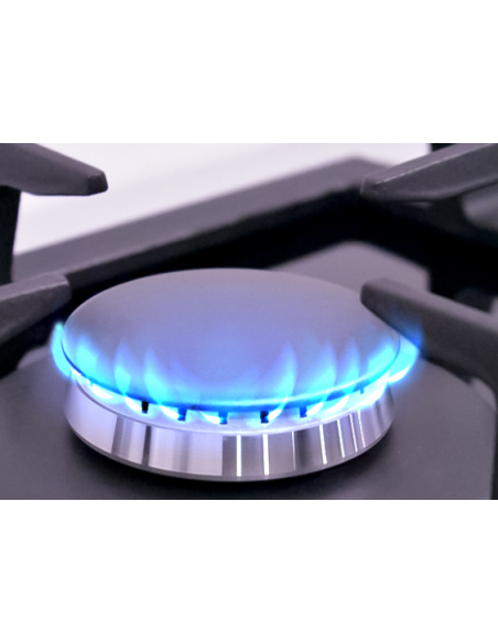 Cuisinière à gaz 50 cm en acier inoxydable