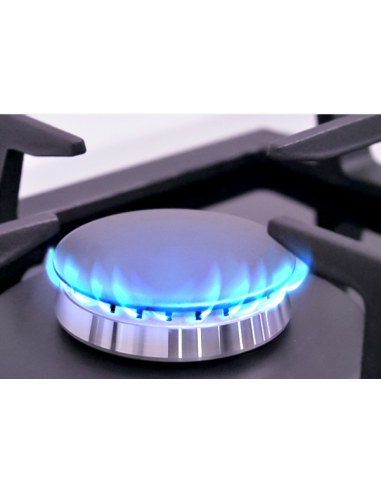 Black rustic style 4 burner gas stove. Eas Electric