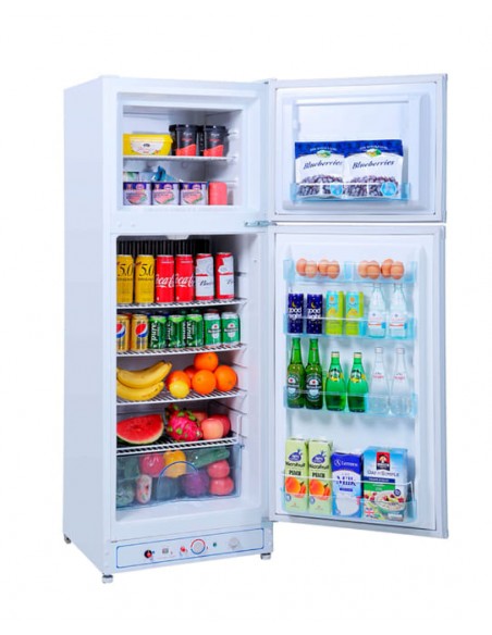 Butsir Elegance 275L a Gas e 220W 日本語 Vidacampista