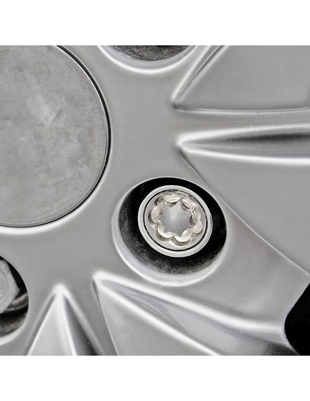 Confezione da 2 bulloni 2 pezzi viti anti-rosso per caravan