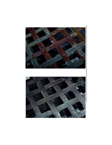 Decapativer und Oxidwandler Ruginox 250ml