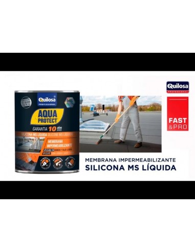 Aquaprotect MS Liquid Silicone 1 Kg Blanca.