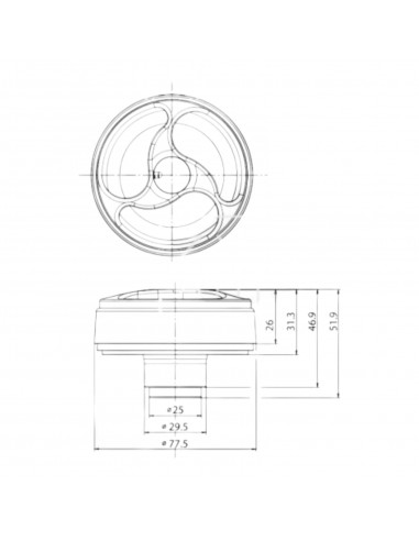 Water tank cap with key