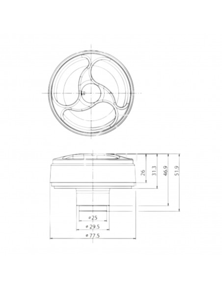Water tank cap with key